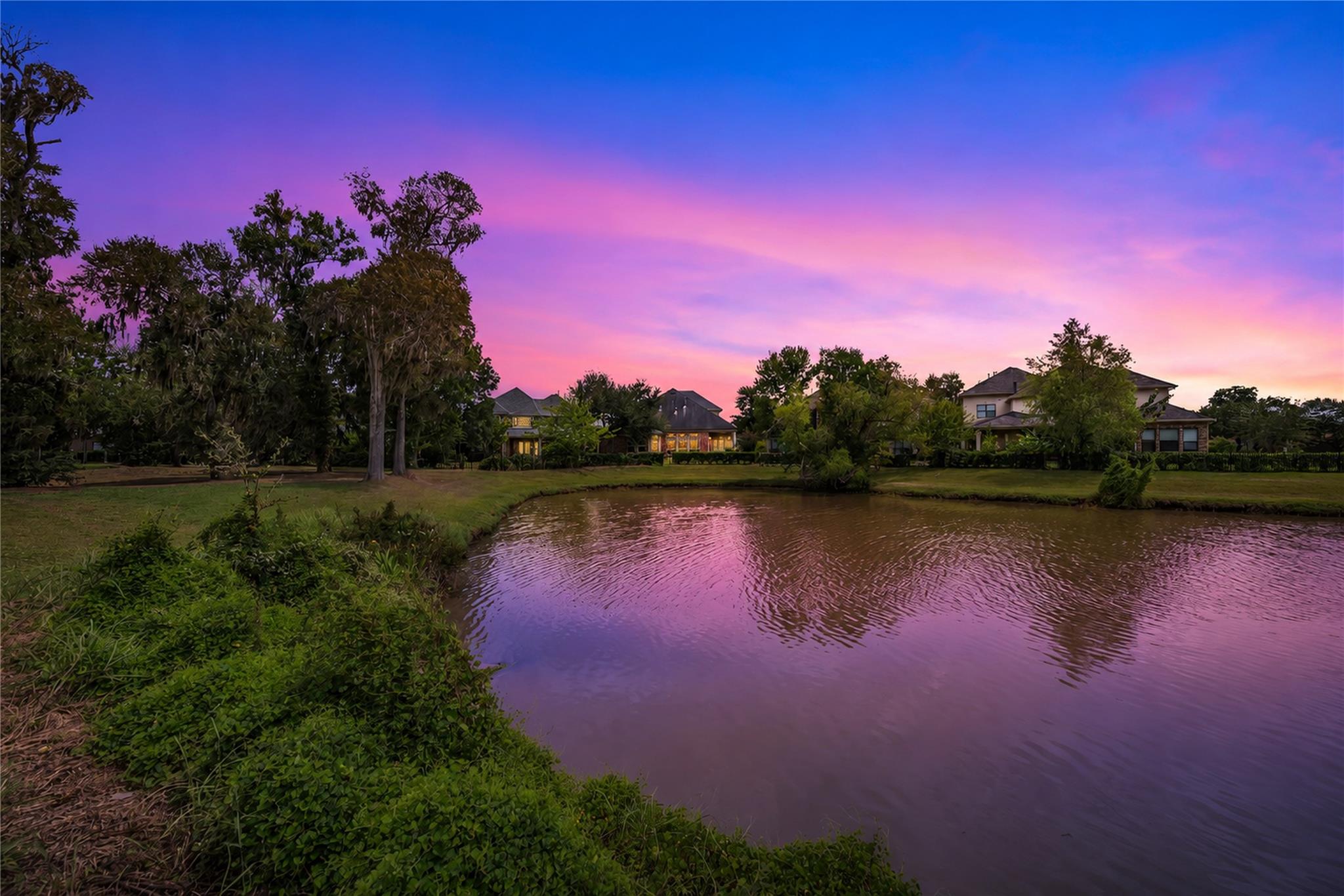 Neighborhood pond reflecting a pink and purple sunset, with trees and homes along the far bank.
