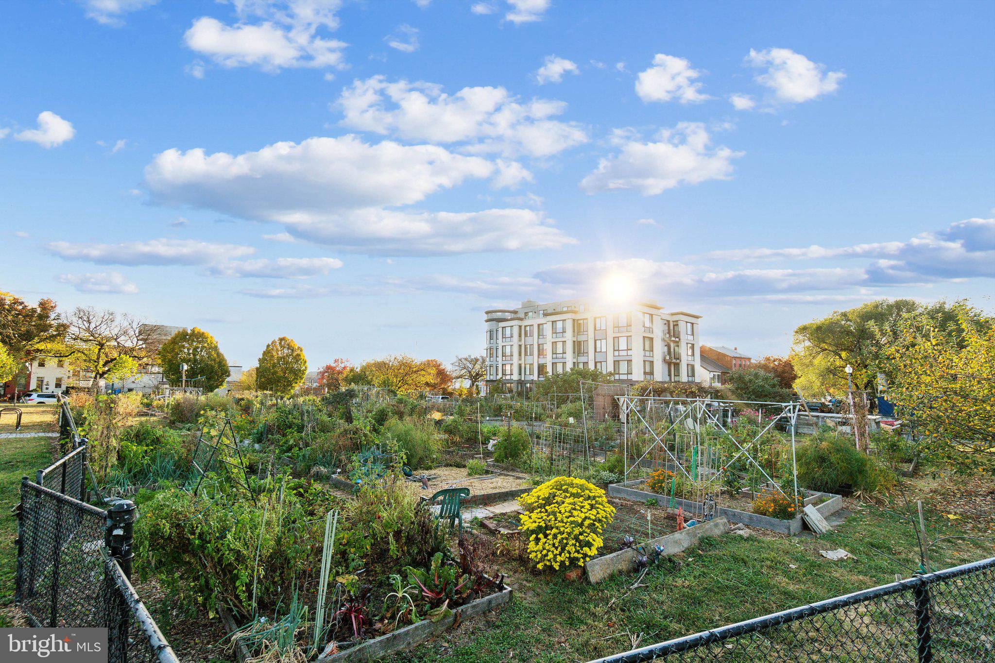 1201 Potomac Ave SE #2