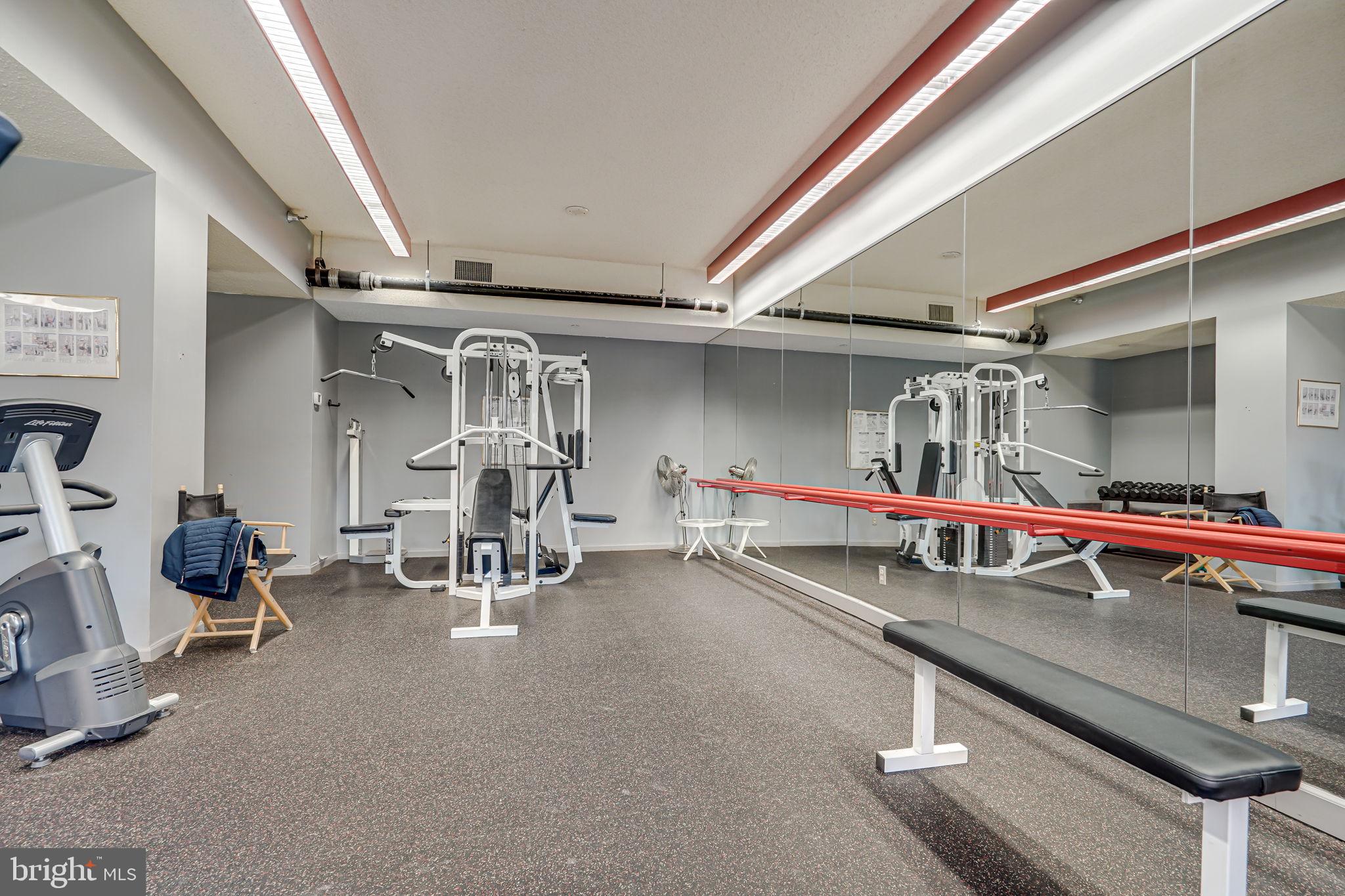 5802 Nicholson #2-703