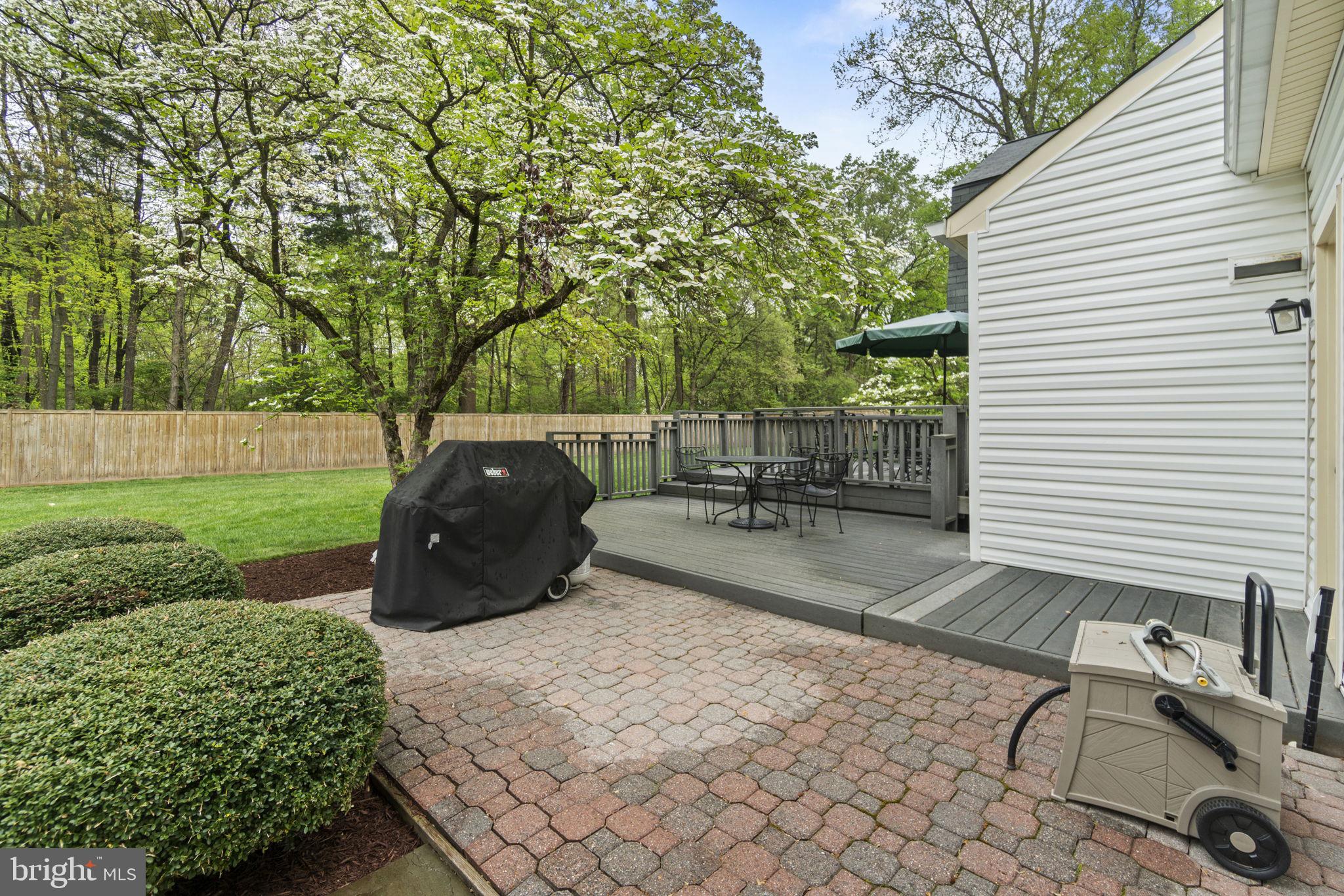 1038 Carnation Dr