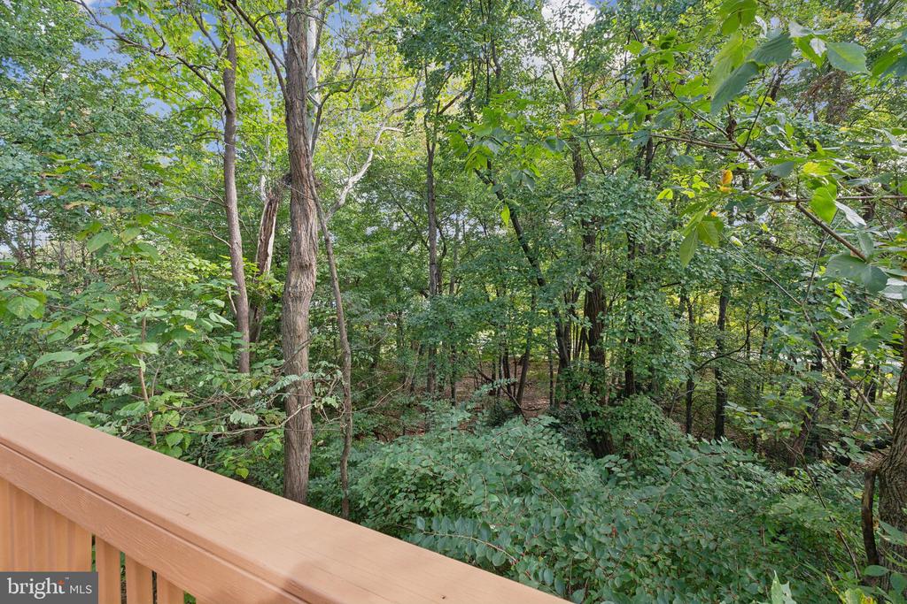 4 Waddington Ln