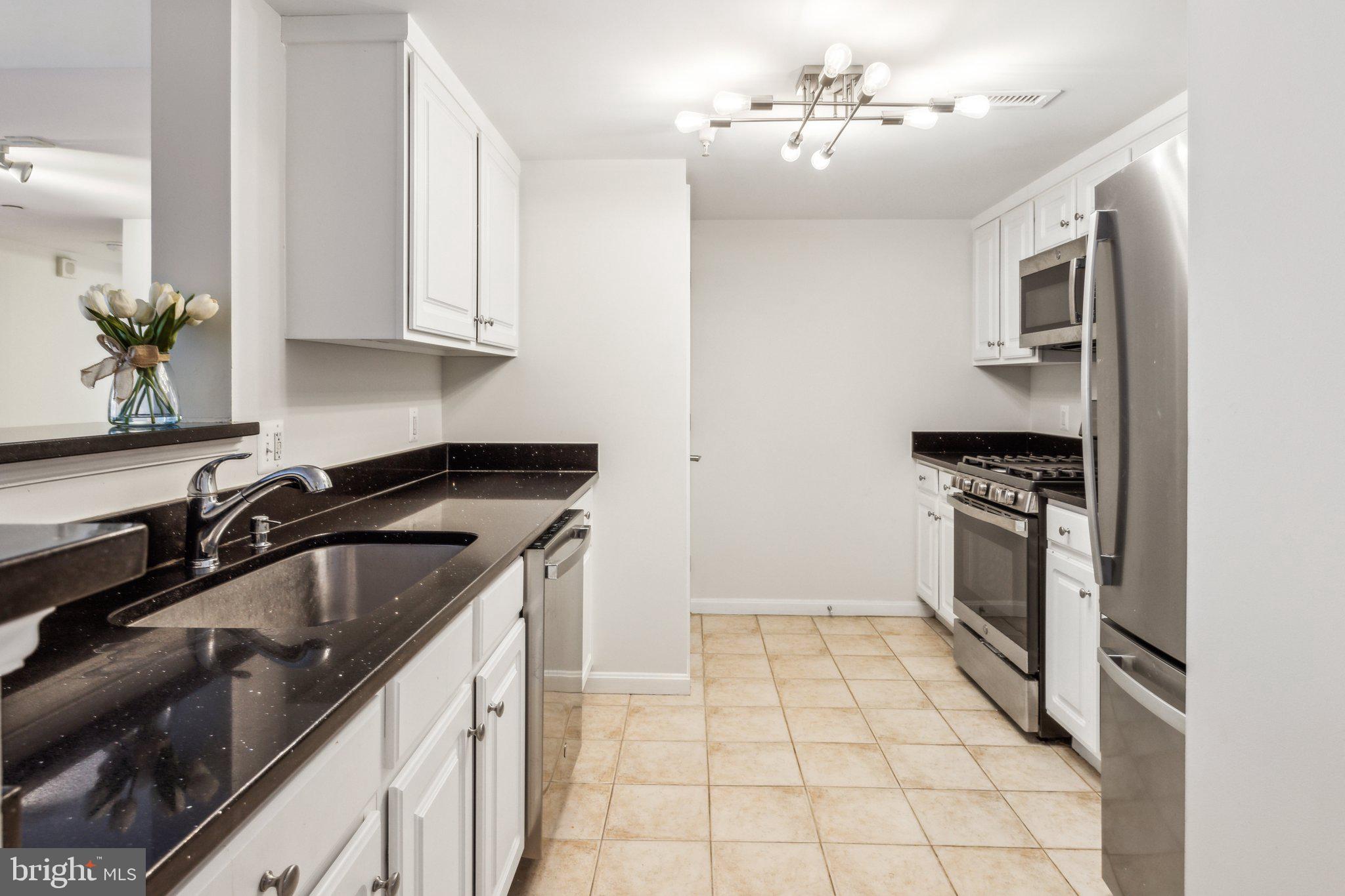 11710 OLD GEORGETOWN RD #1313