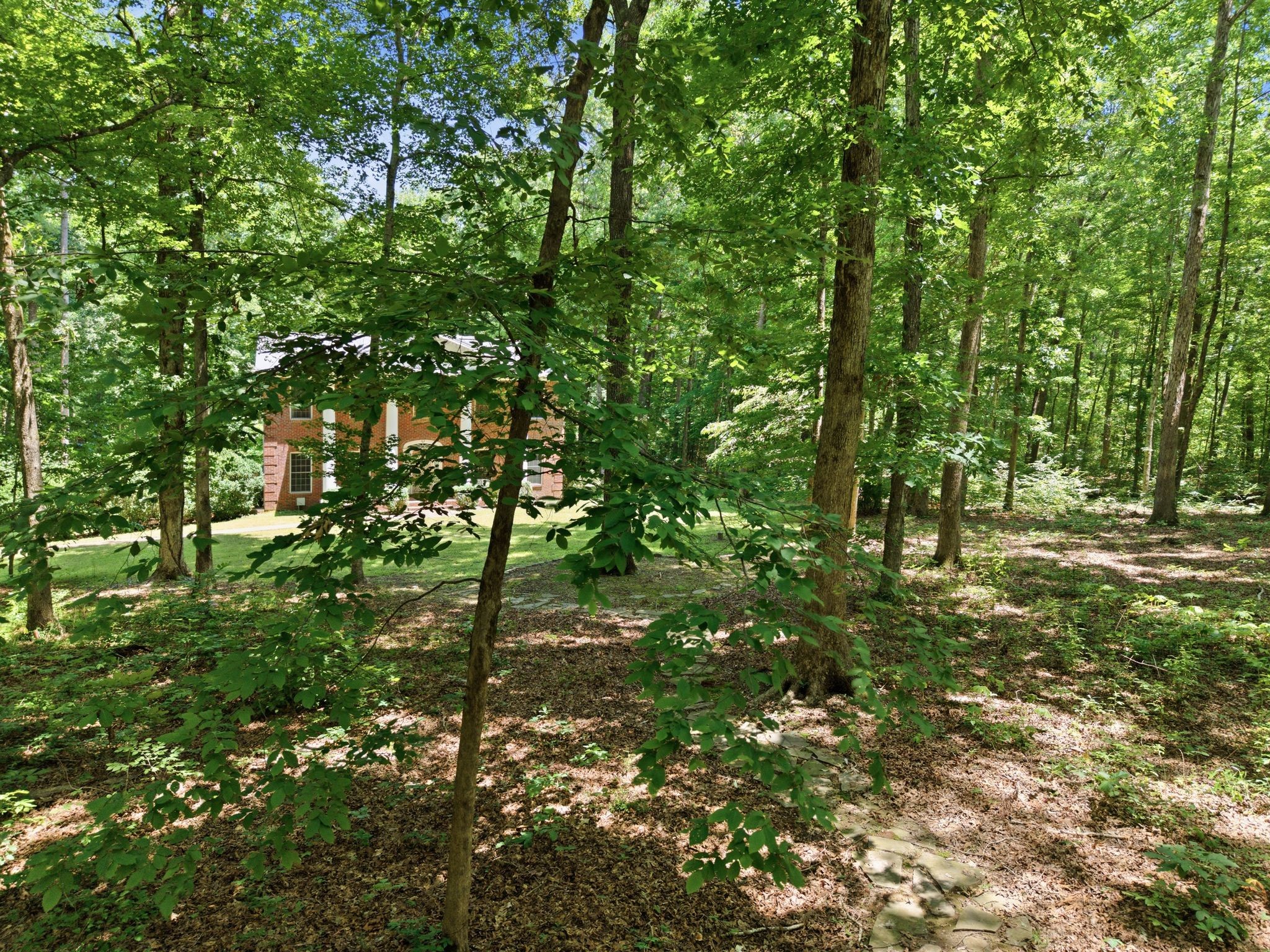 1225 Johnny Hall Rd