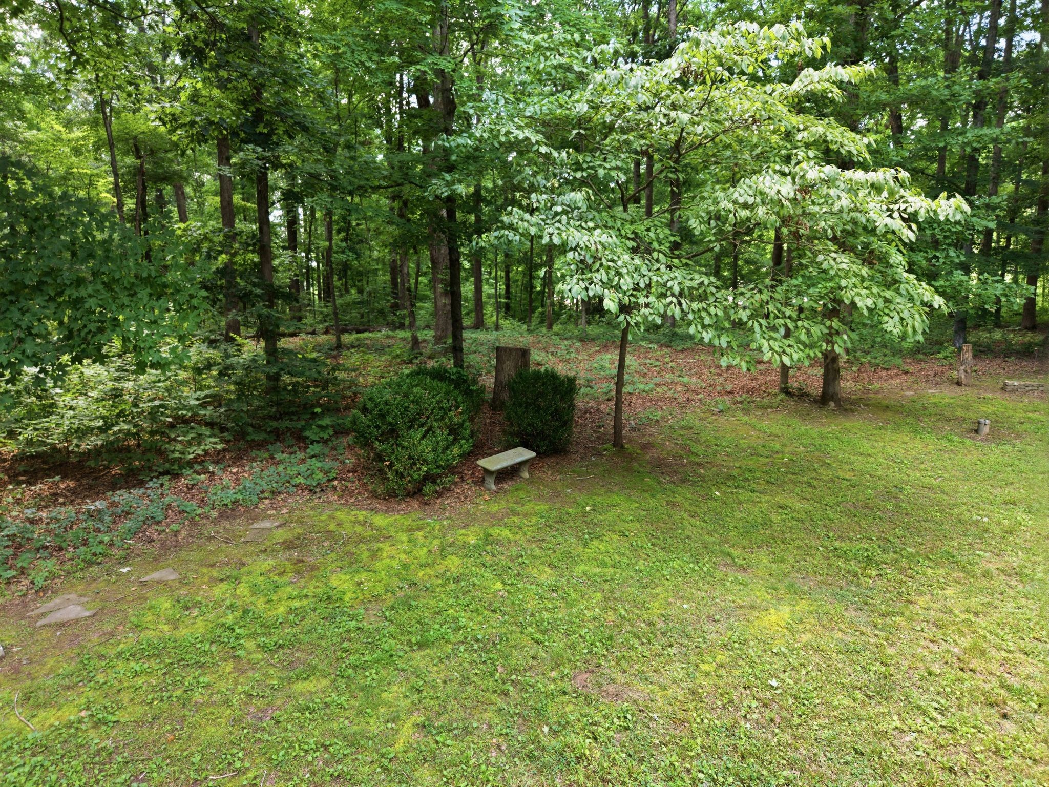 1225 Johnny Hall Rd
