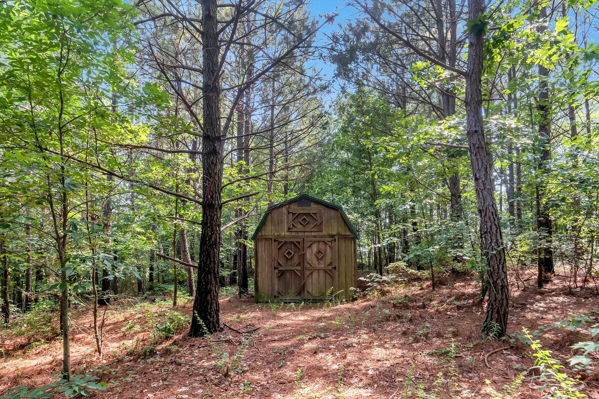 Wooden shed with decorative doors in a sunny, wooded clearing.