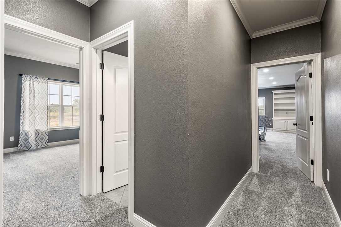 295 Settlers Creek Trail