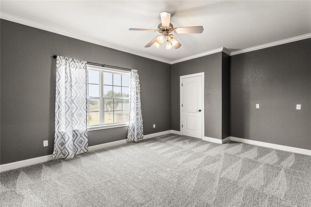 295 Settlers Creek Trail
