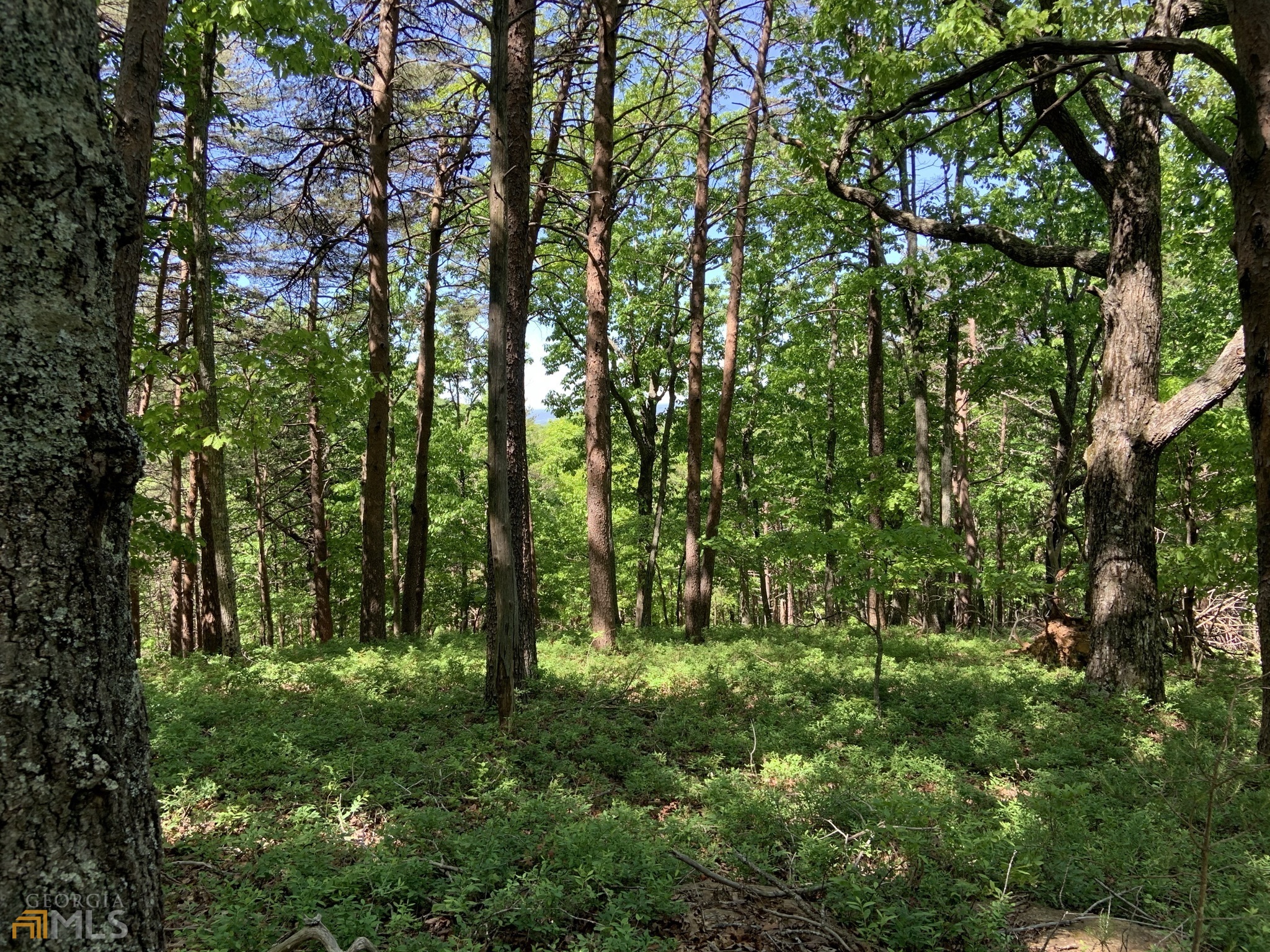 255 Owl Ridge Way Unit: 255