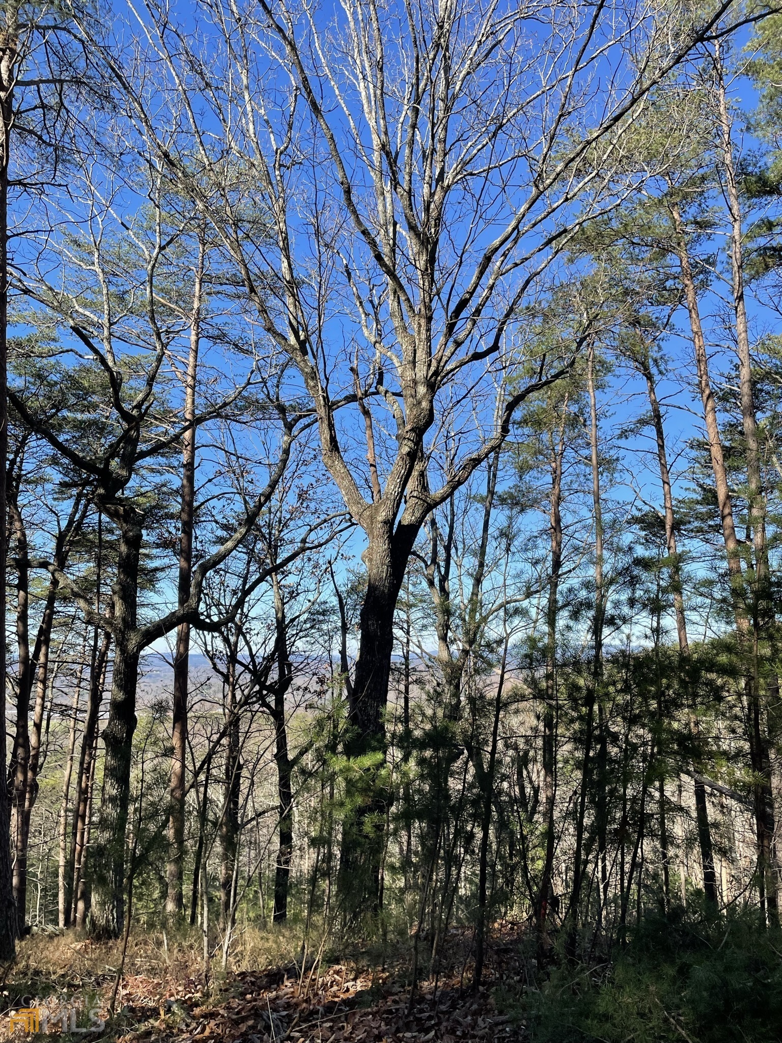 255 Owl Ridge Way Unit: 255