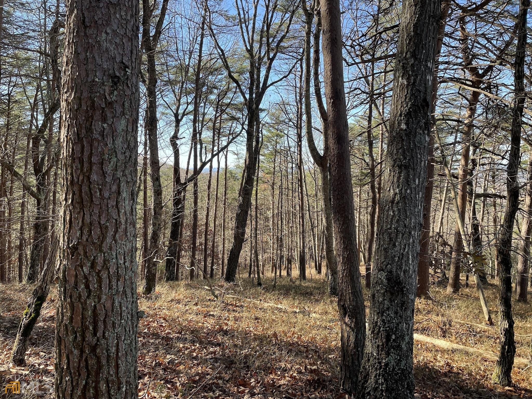 255 Owl Ridge Way Unit: 255