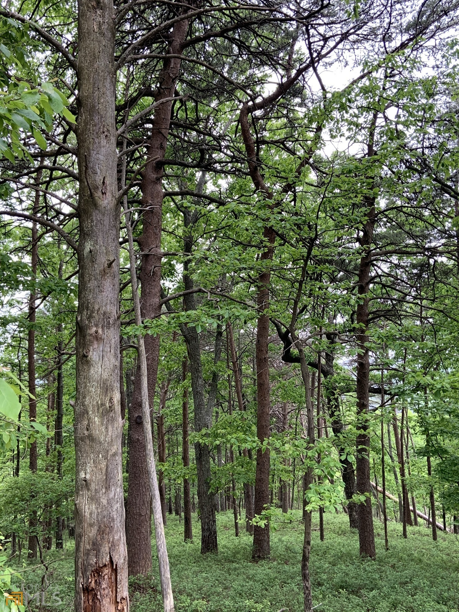 255 Owl Ridge Way Unit: 255