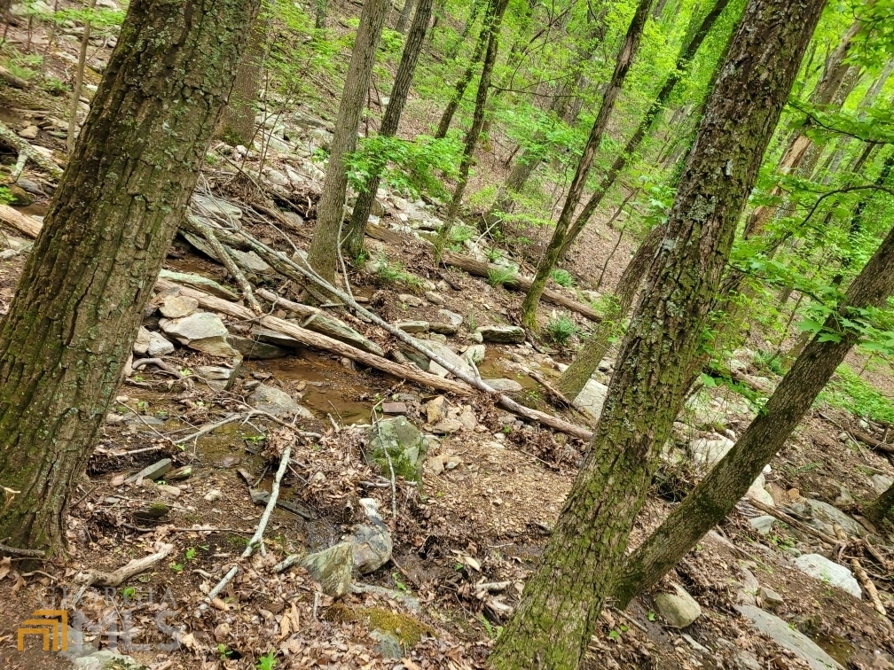 255 Owl Ridge Way Unit: 255