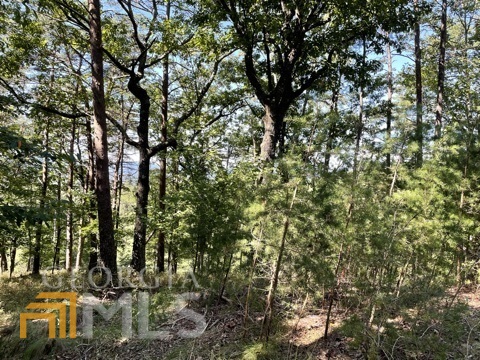 255 Owl Ridge Way Unit: 255