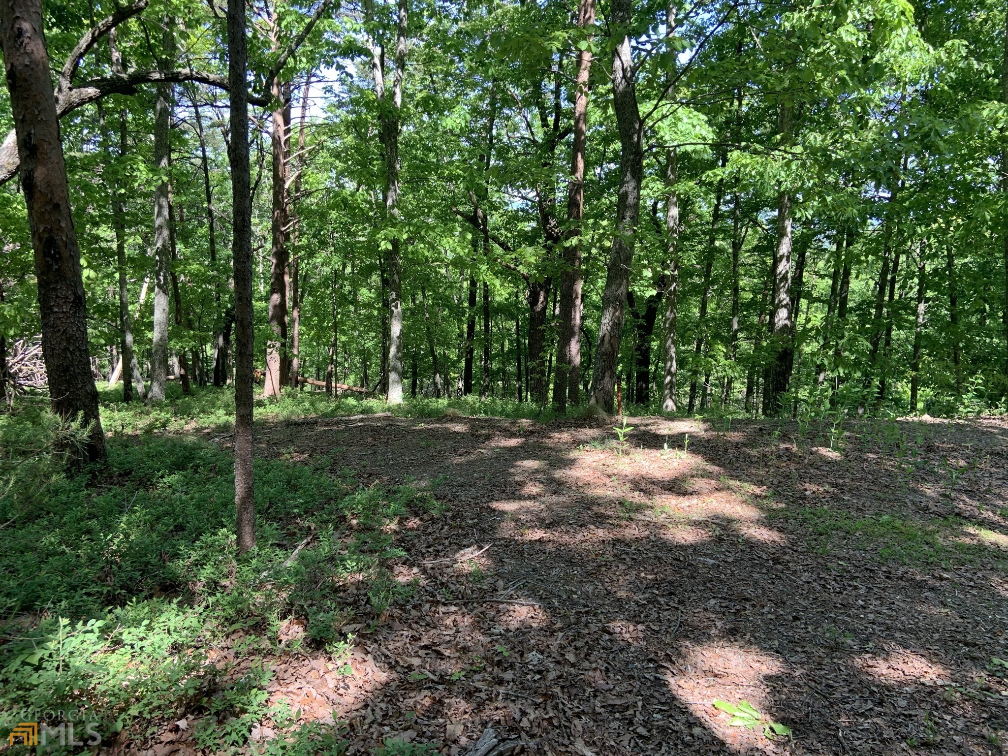 255 Owl Ridge Way Unit: 255