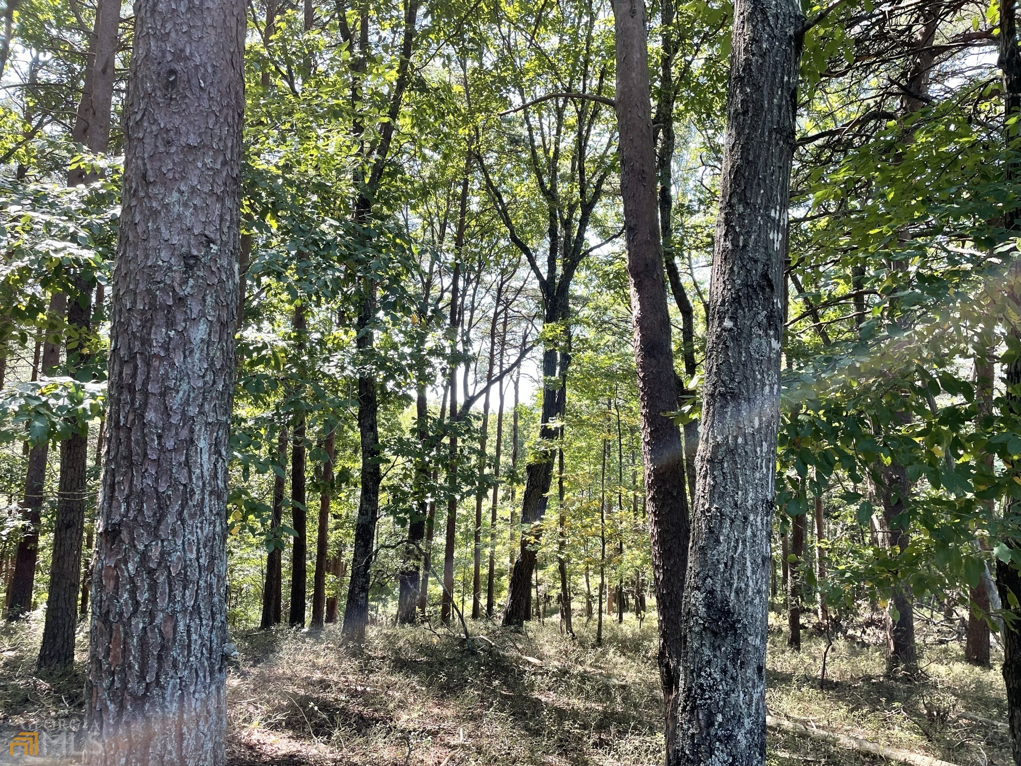 255 Owl Ridge Way Unit: 255