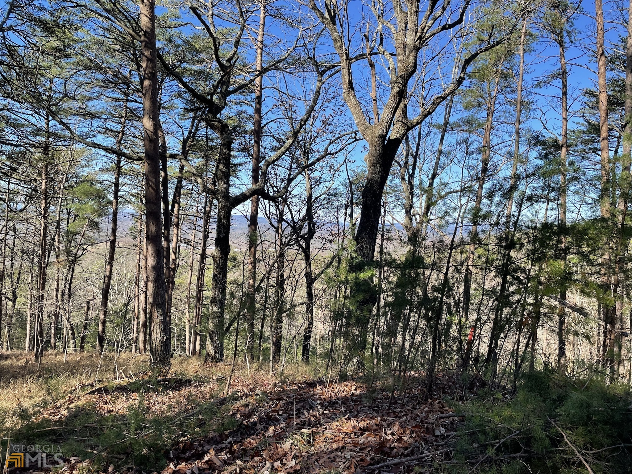 255 Owl Ridge Way Unit: 255