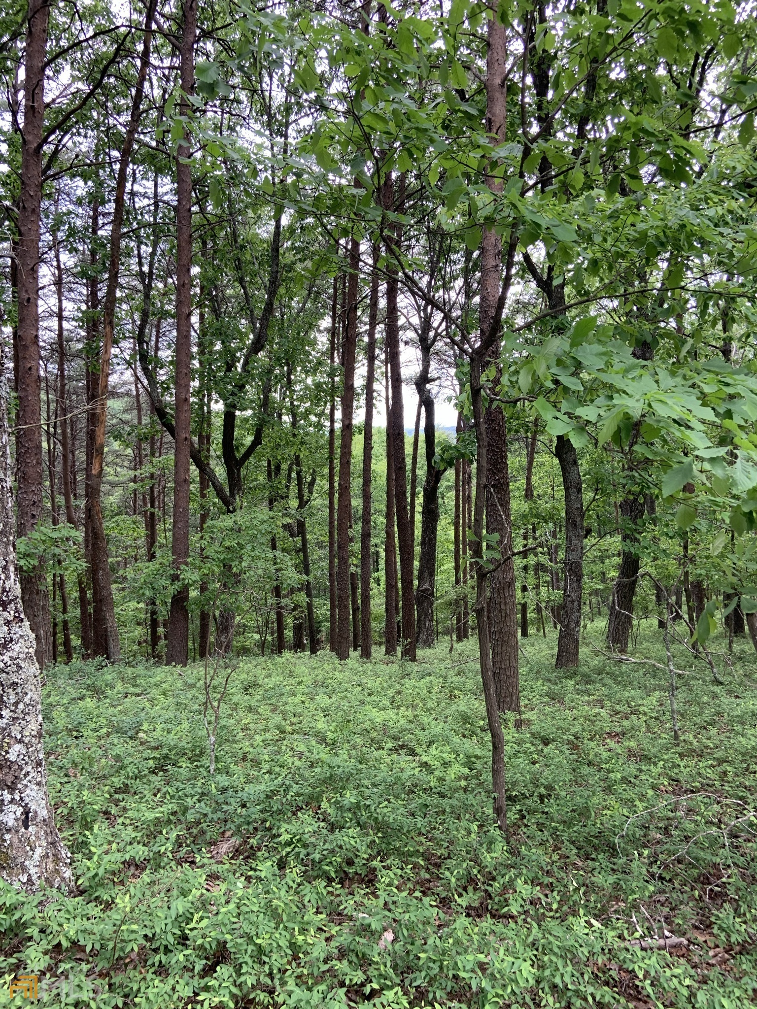 255 Owl Ridge Way Unit: 255