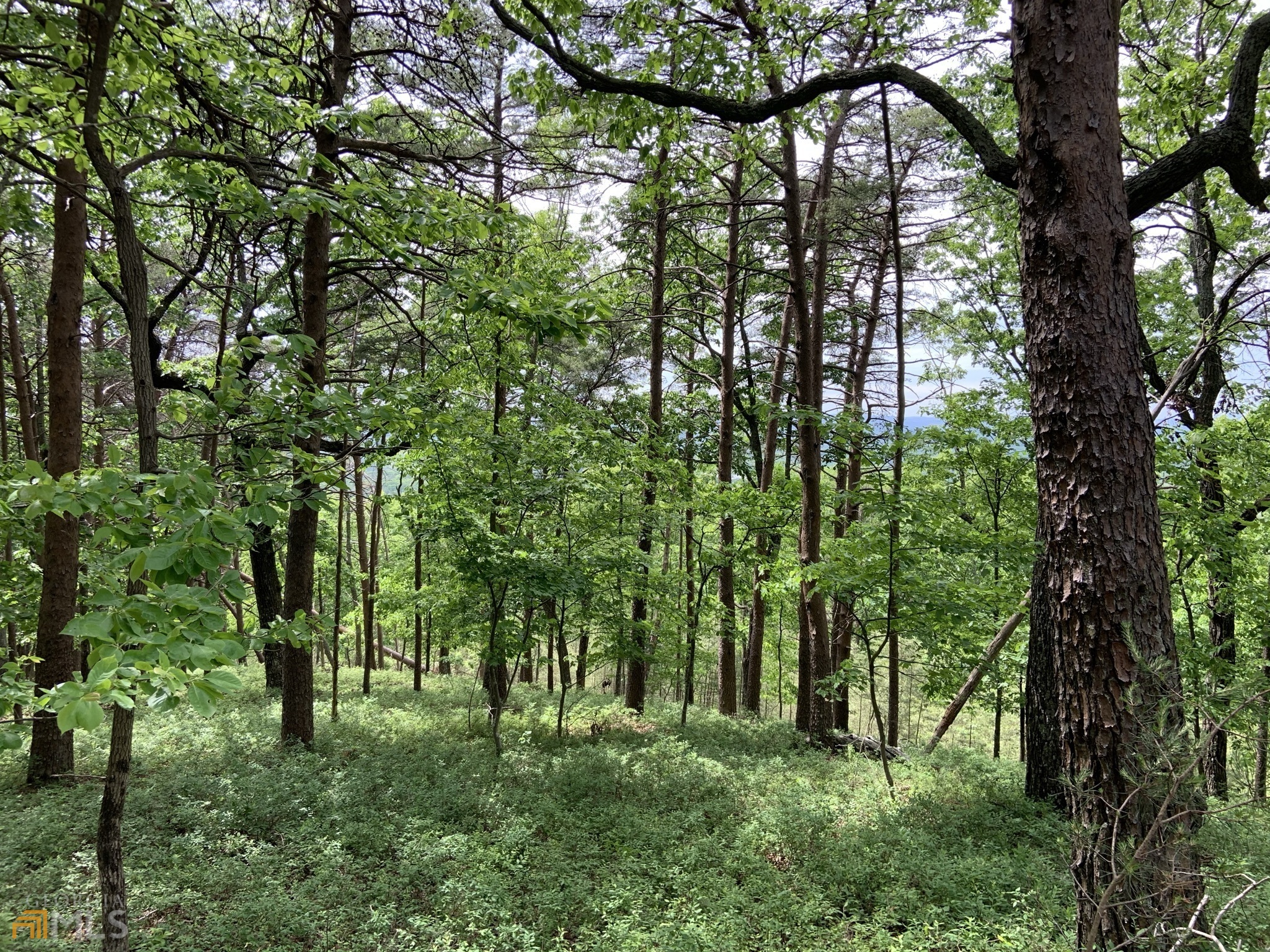 255 Owl Ridge Way Unit: 255