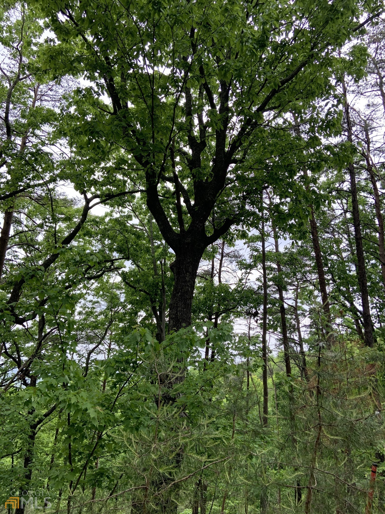 255 Owl Ridge Way Unit: 255