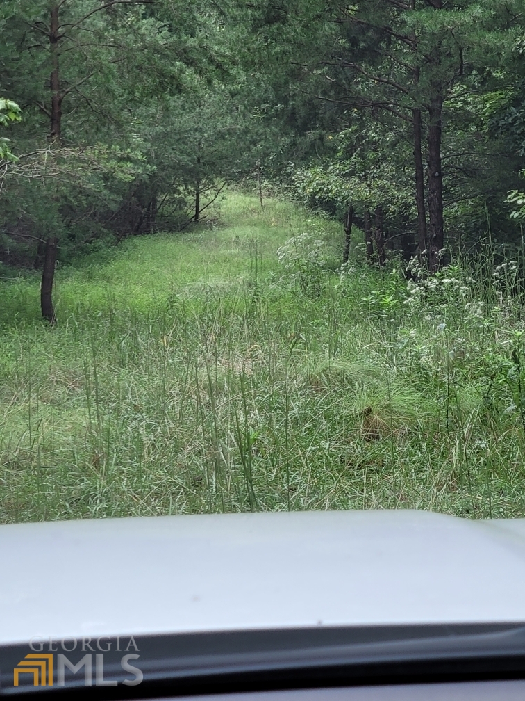 255 Owl Ridge Way Unit: 255