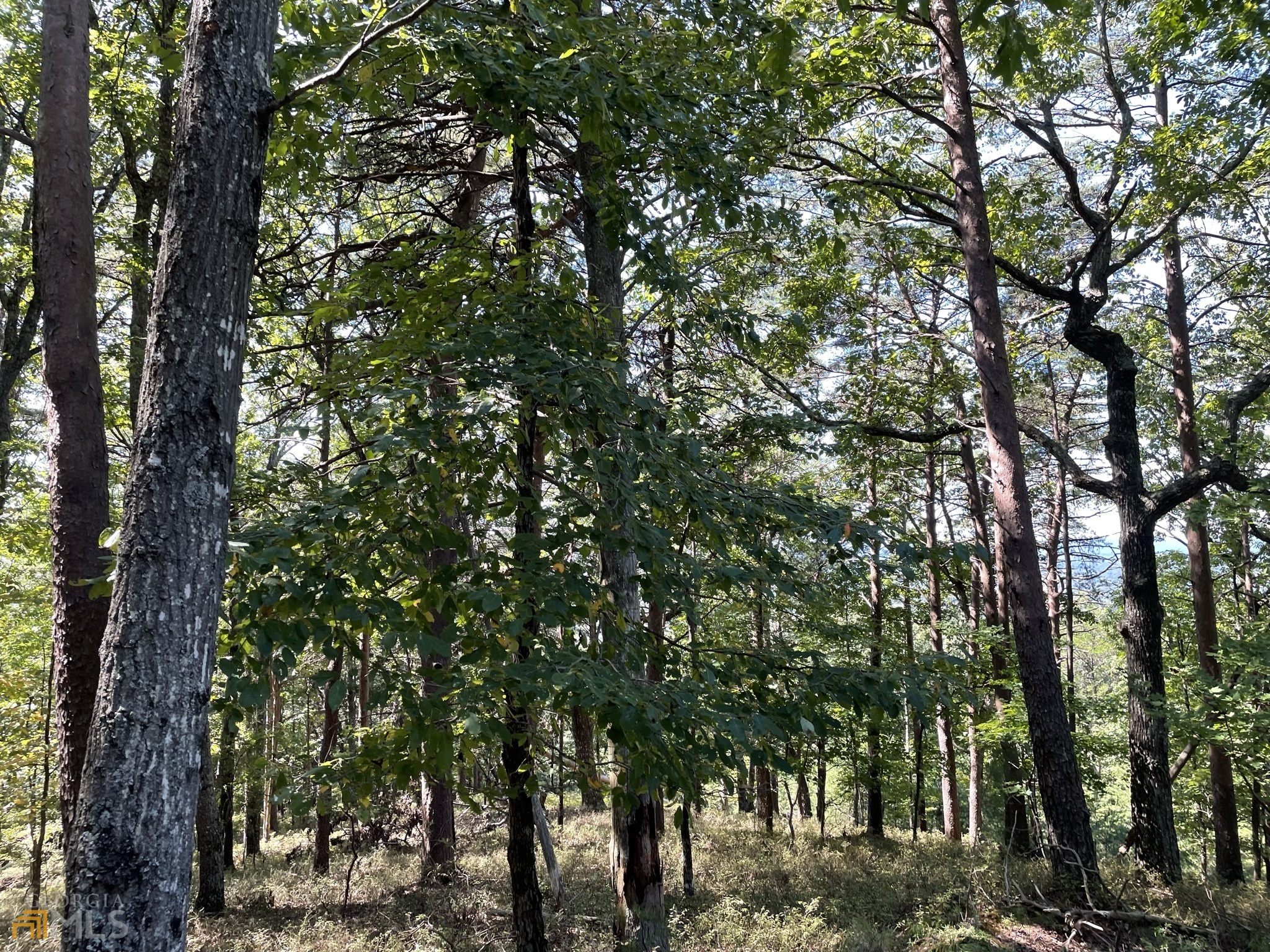 255 Owl Ridge Way Unit: 255