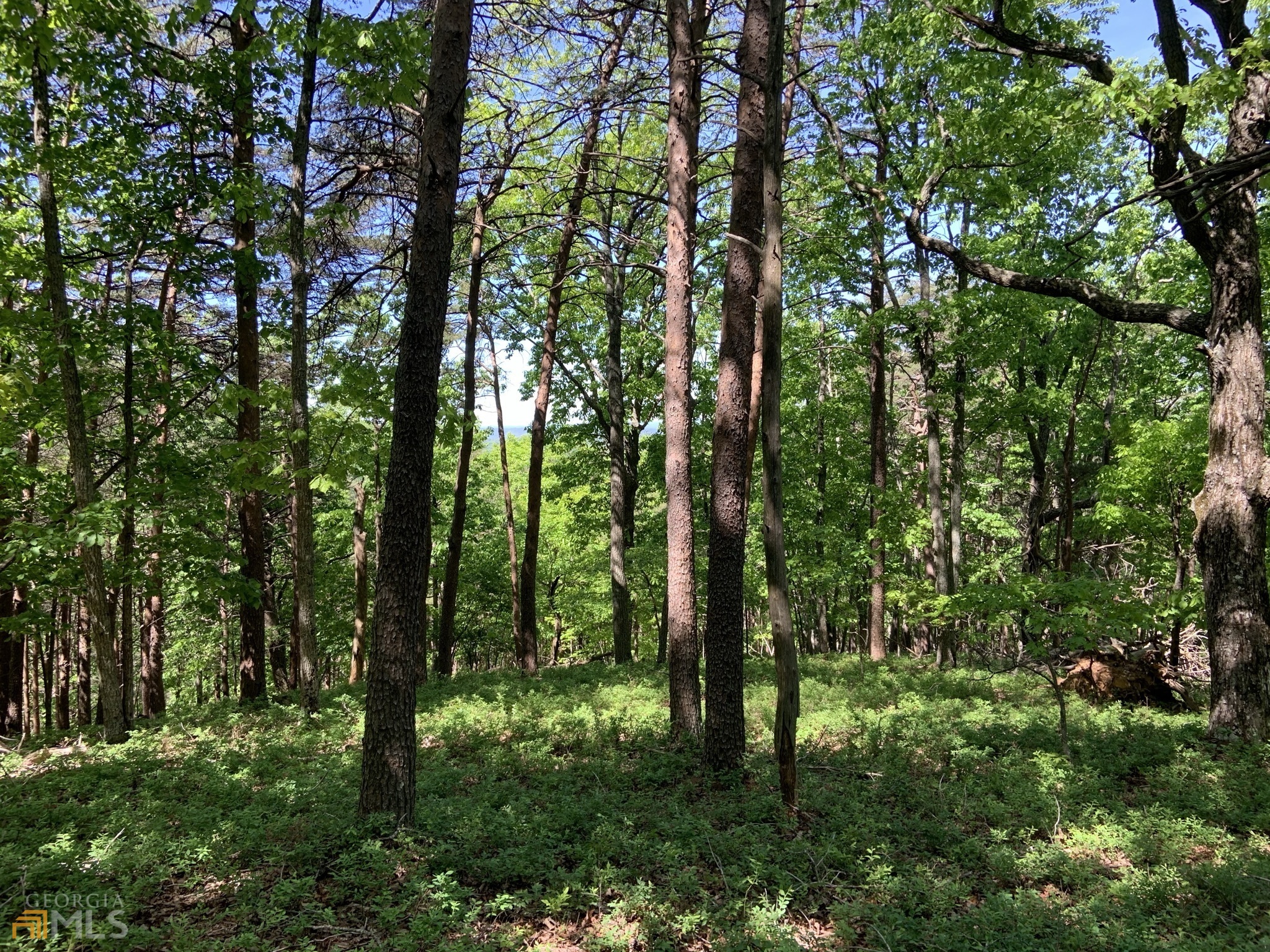 255 Owl Ridge Way Unit: 255