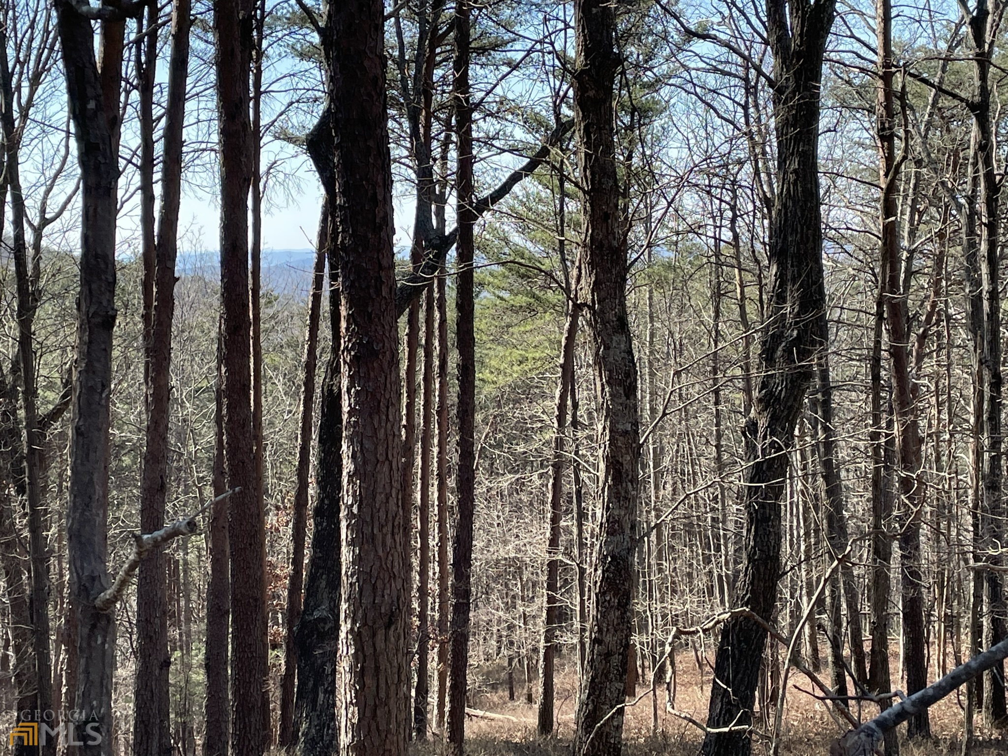 255 Owl Ridge Way Unit: 255