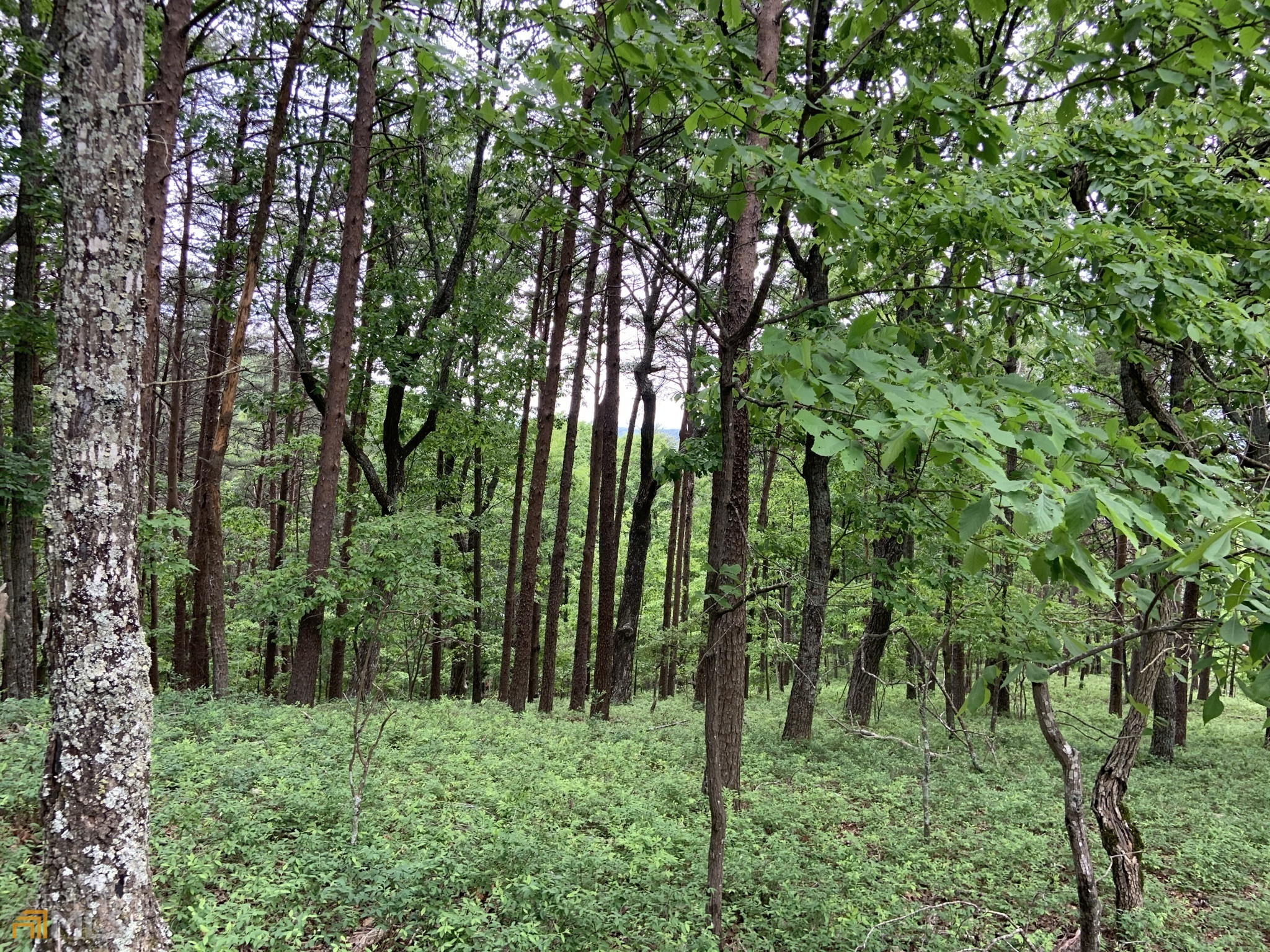 255 Owl Ridge Way Unit: 255