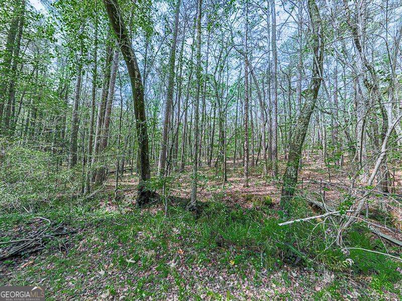 4445 Moon Station Lane NW