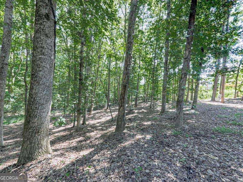 5855 Wills Lake Road, Cumming