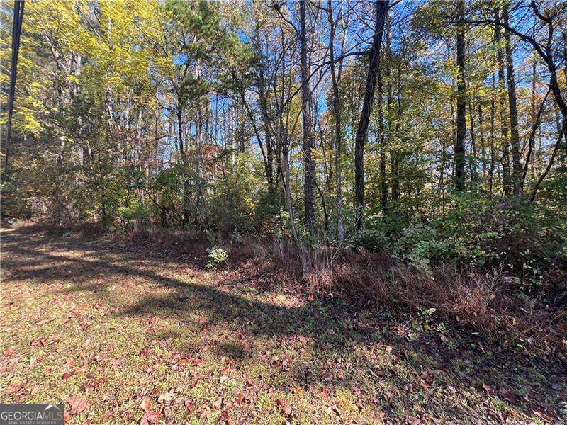 10494 Ball Ground Highway