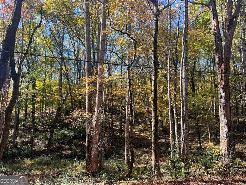 10494 Ball Ground Highway