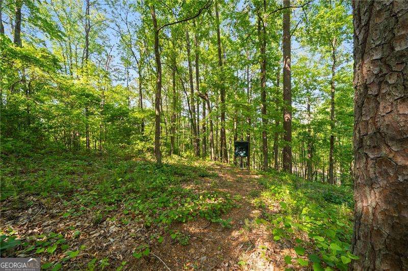 311 Woodland Brook Drive