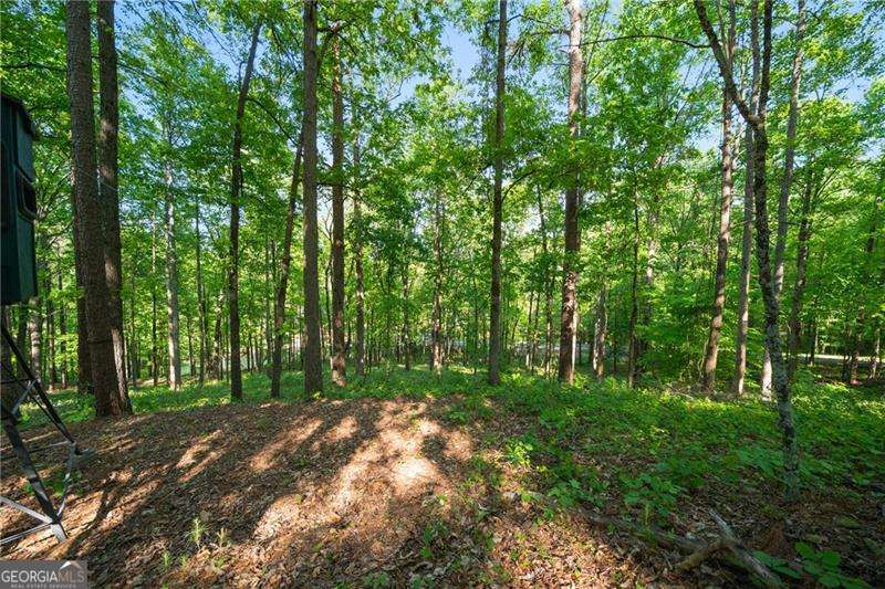 311 Woodland Brook Drive