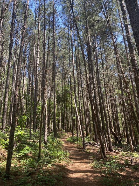 LOT 66 Sunny Brook Lane