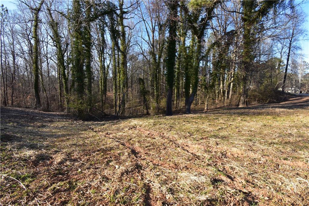 397 Marvin Land Lane