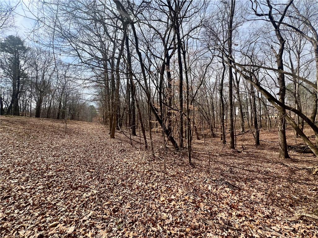 380 Henry Scott Road