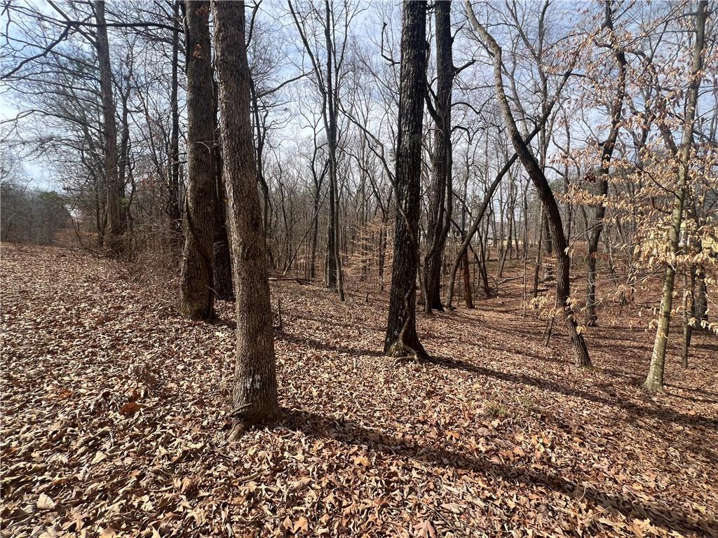 380 Henry Scott Road