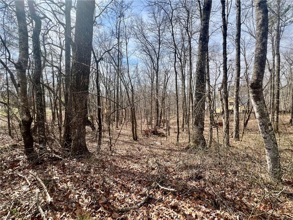 380 Henry Scott Road