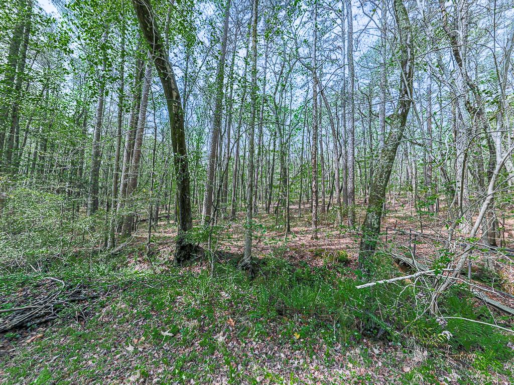 4445 Moon Station Lane NW