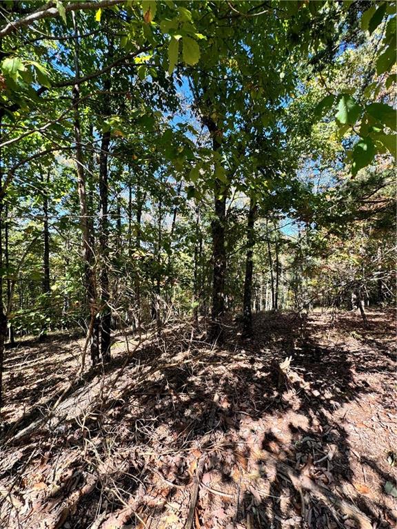 0 Vista View Parkway