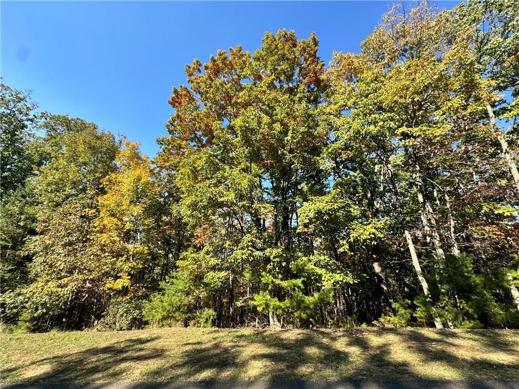 0 Vista View Parkway