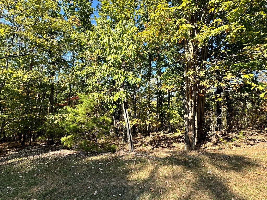 0 Vista View Parkway