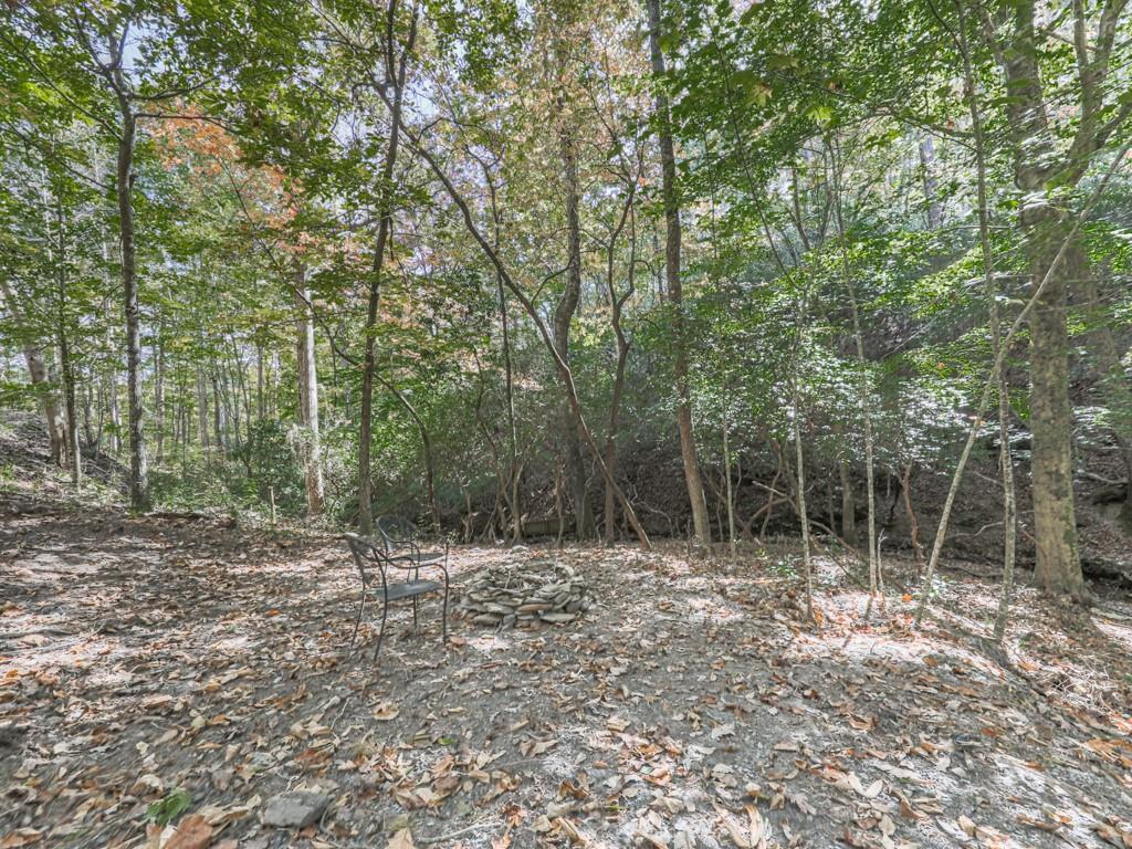 1166 Upper Sweetwater Trail SE