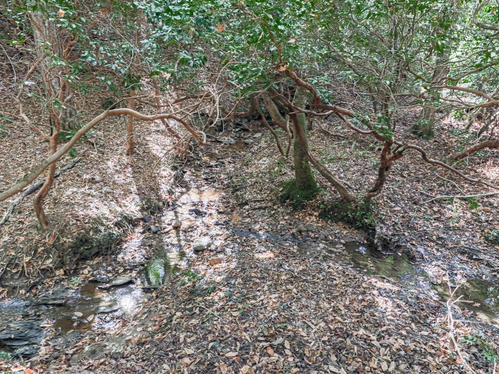 1166 Upper Sweetwater Trail SE