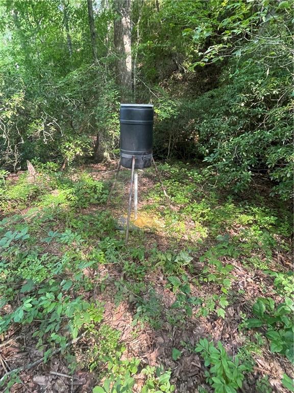 1166 Upper Sweetwater Trail SE