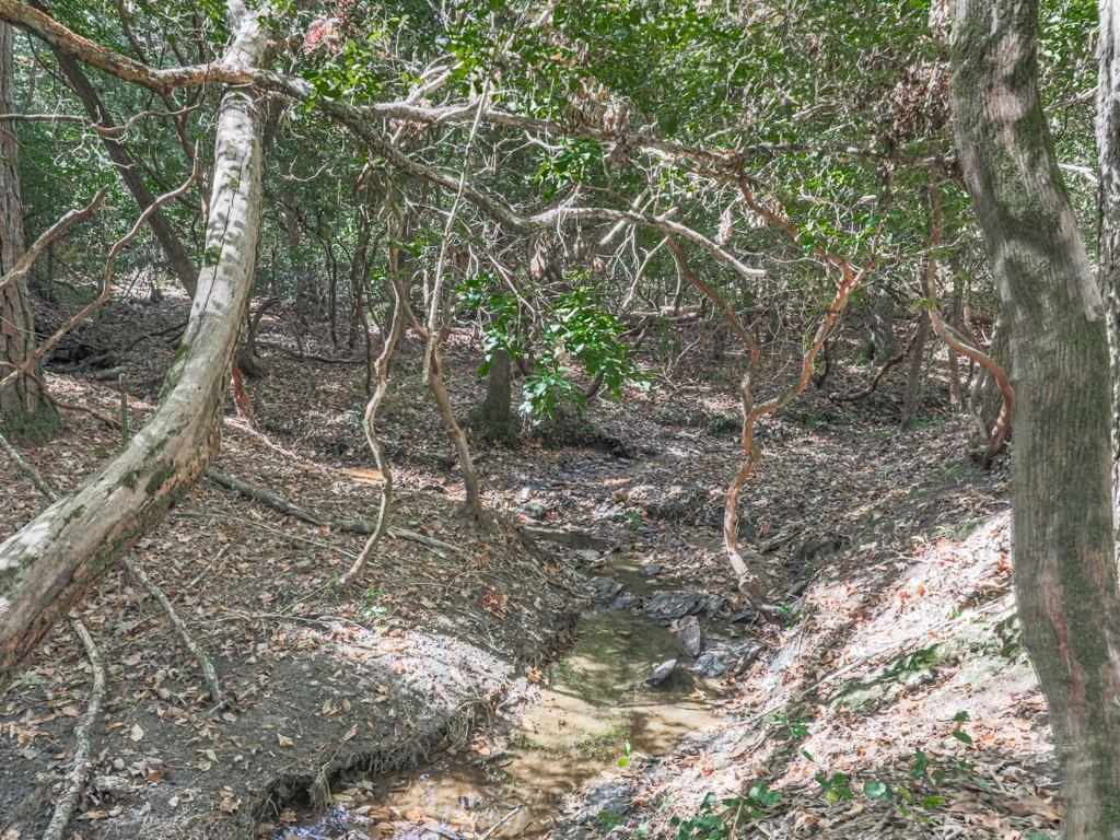 1166 Upper Sweetwater Trail SE