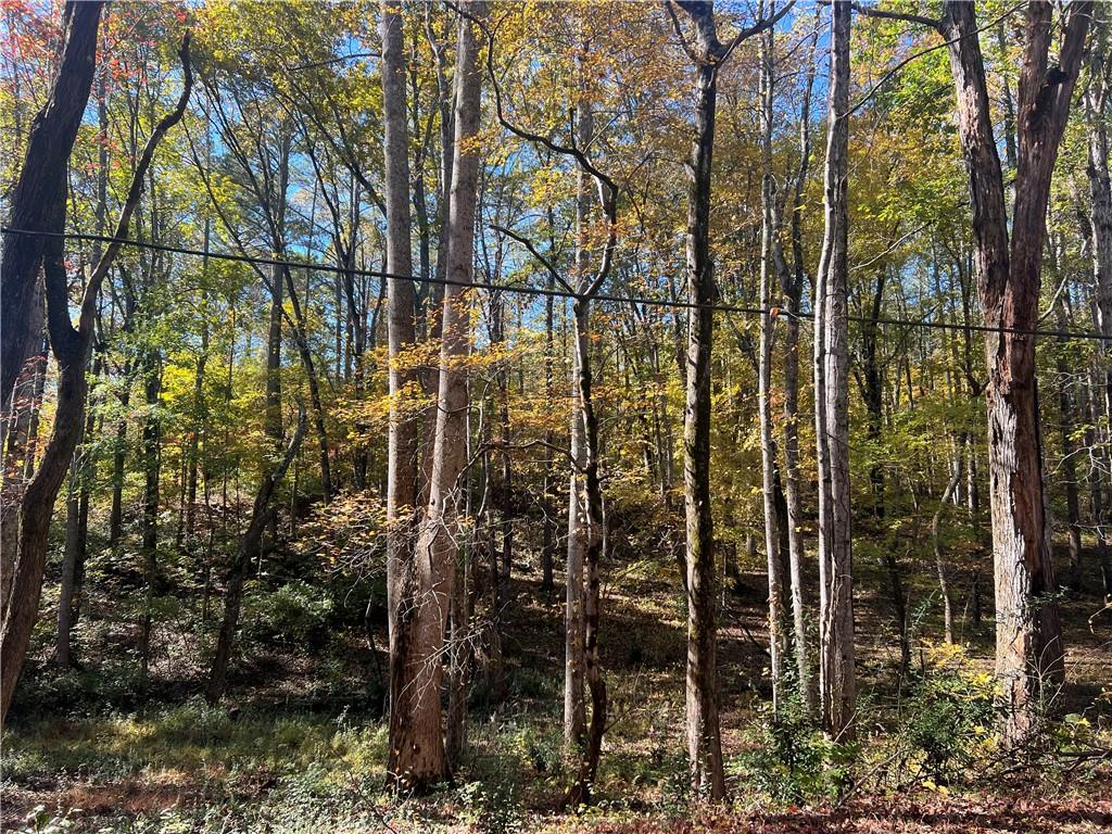 10494 Ball Ground Highway