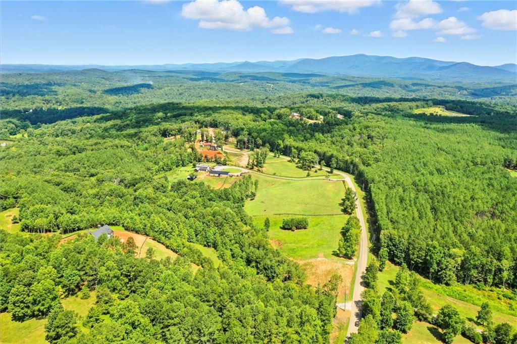 3511 Reavis Mountain #2 Road