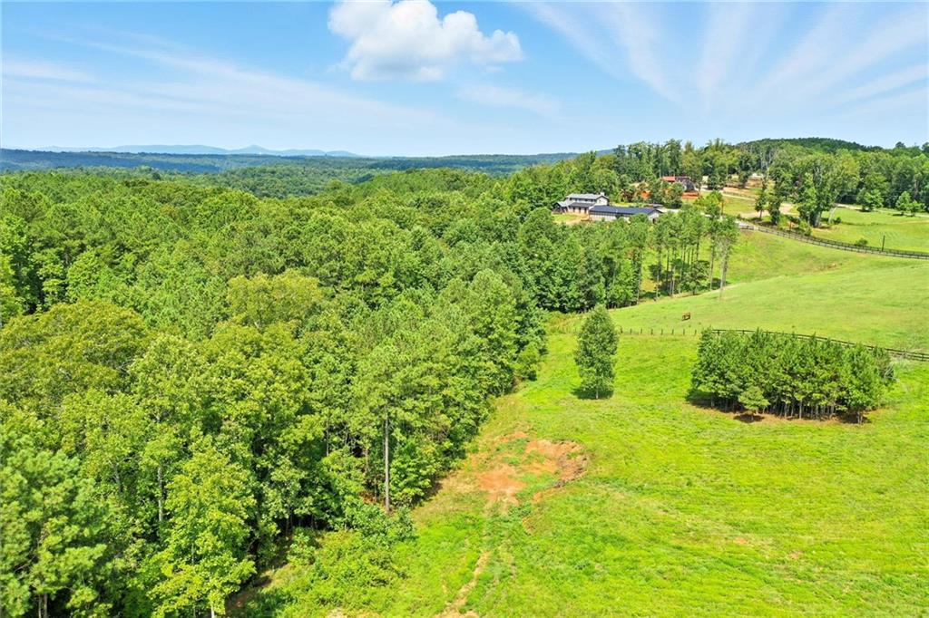 3511 Reavis Mountain #2 Road